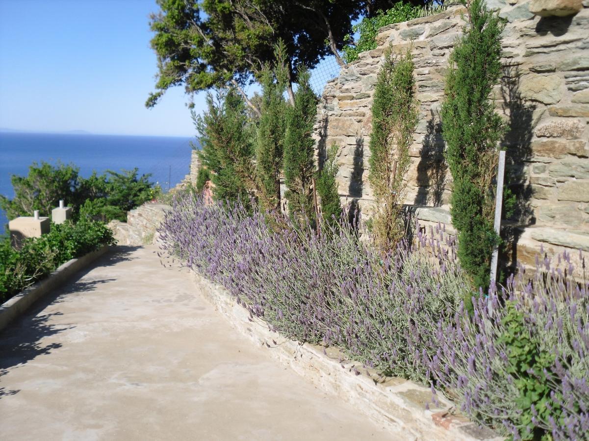 Agia EleousaAegean Castle Andros - Adults Only公寓式酒店 外观 照片